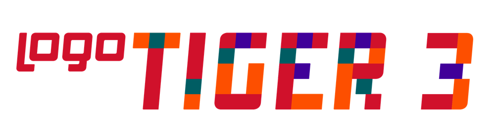 Logo ERP Detay